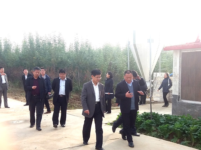 市政府張繼民市長調研工作