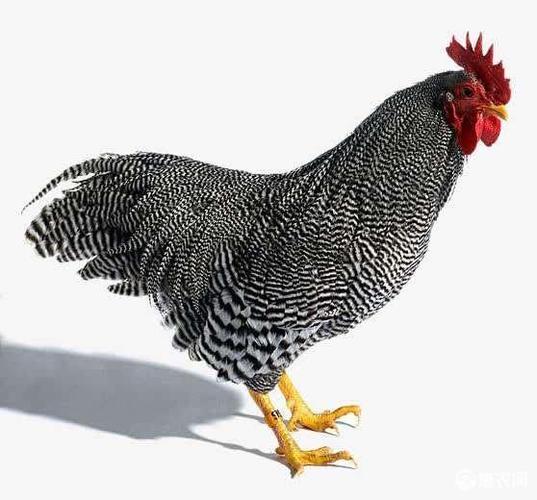 戳我试试
