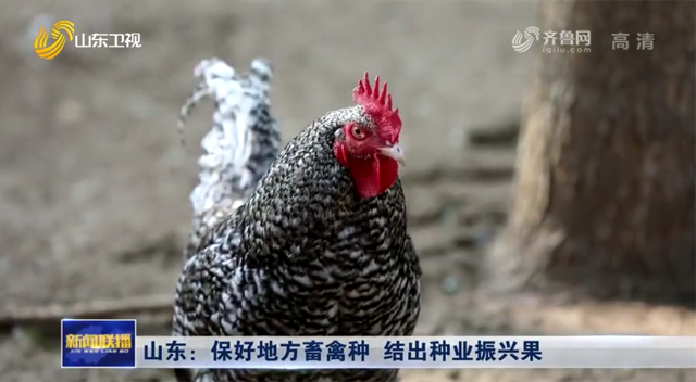 戳我试试