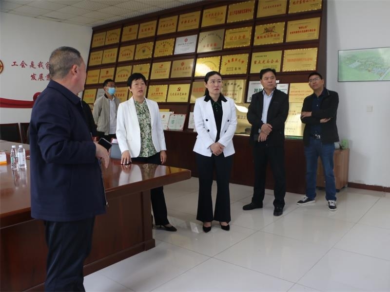 濟寧市農業農村局黨組成員、副局長劉慧敏到金秋農牧公司調研蘆花雞產業發展情況