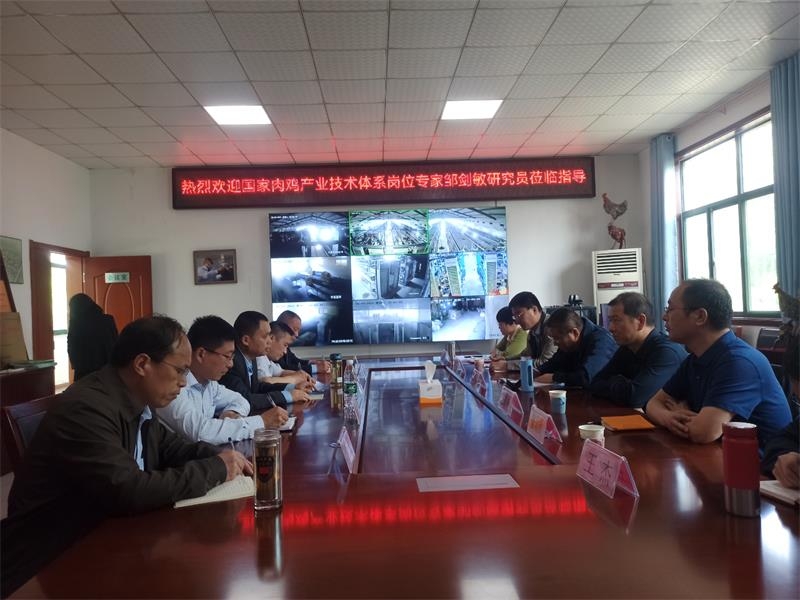 中國畜牧獸醫學會家禽學分會理事長、中國農業科學院家禽研究所所長鄒劍敏研究員蒞臨金秋農牧公司指導汶上蘆花雞保種育種工作
