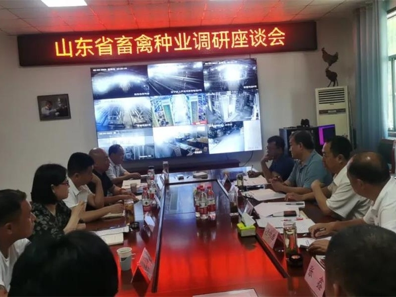 省委政研室調研員王臻一行到金秋農牧公司調研汶上蘆花雞種業發展情況