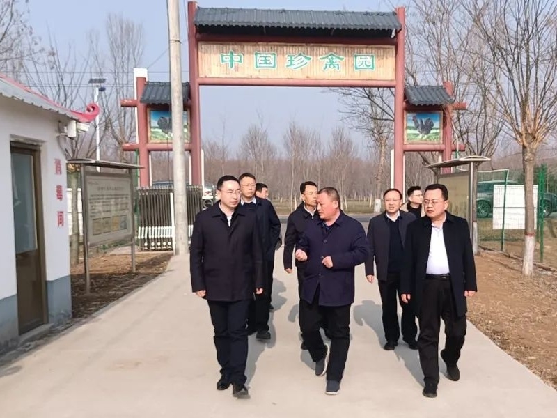 日照市畜牧獸醫管理服務中心來金秋農牧公司考察調研汶上蘆花雞發展保護工作